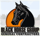 BLACK HORSE GROUP